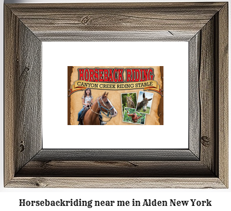 horseback riding near me in Alden, New York